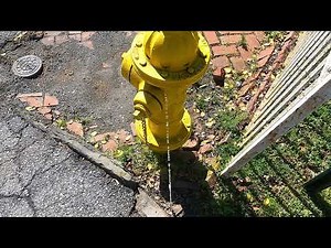 A Beautiful Day To Take A Pee VERY SATISFYING