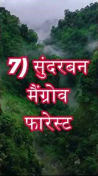 Top 10 Most EPIC Forests on the Planet #naturelovers