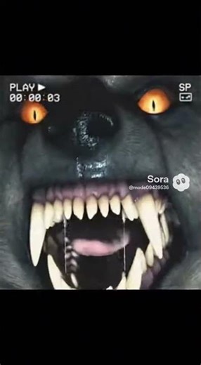 REAL Werewolf Caught on Camera?! Terrifying Footage You Won’t Believe 🐺😱