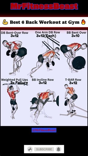 💪 Best 6 Back Workout at Gym 🔥 #backworkout #gymworkout #musclebuilding #fitnessmotivation #backday
