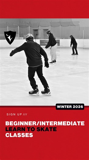Carleton Athletics on Instagram: "Learn to skate with us this winter! ❄️⛸️ Check out our instructional schedule for our full list of ice sport classes and find what fits for you! Link in bio 🔗"