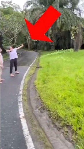 A group of tourists from a certain country has been viewed 100 million times worldwide #shorts