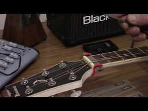 String Action at The Nut