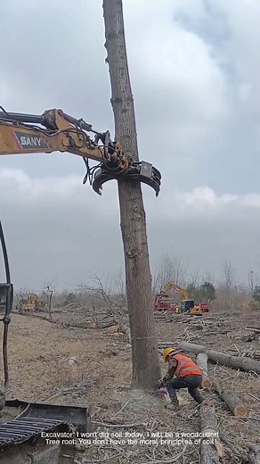 sunshine101 على TikTok