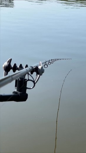 Vous connaissez les asticots flottants ? Baptiste vous montre comment facilement en faire. 🐛🚁 | Tackle Guru France