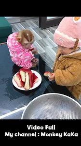 6K views · 420 reactions | It's funny when Monkey Hair Red protects the food from Baby Diem part 3 #short | KaKa Key | Facebook