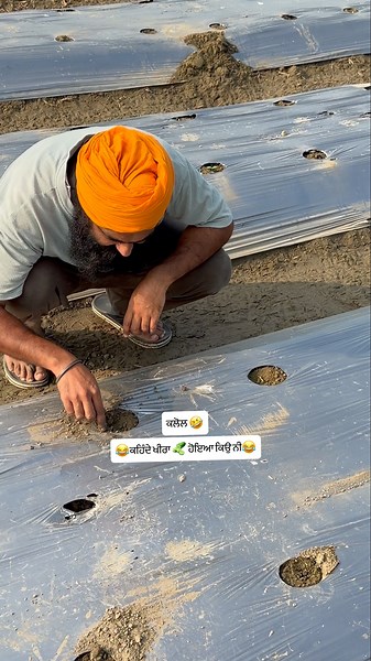 #funny #funnyshorts #punjab #punjabi #agriculture #khetibadi #kheti #farming #farmer #farmers #veg
