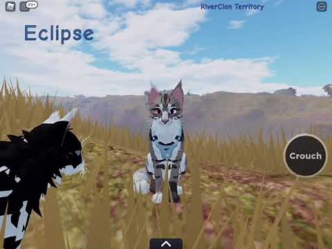 How to get two different eye colors! Warrior cats