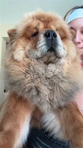 appa loves pearl jam | pearl jam