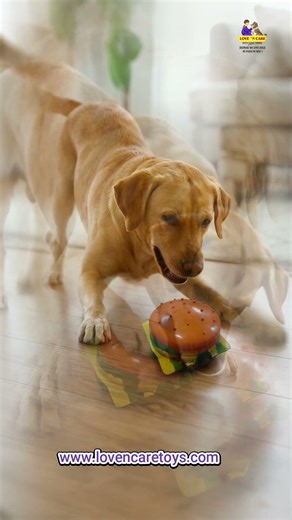 Burger Natural Rubber Dog Toy | Safe, Durable & Fun Chew Toy by Love’N Care