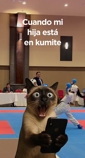 Karate Kumite Practices: The Meme Edition