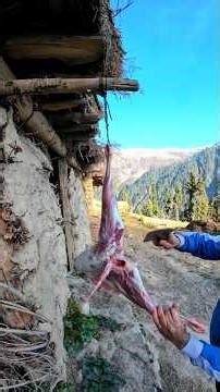 Full Dunba 🐑 Cooking in Pressure Cooker || Mountain man survival skills Cooking delicious full goat