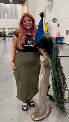 Grand Rapids was a blast! Oddities & Curiosities Expo! | Oddities & Curiosities Expo