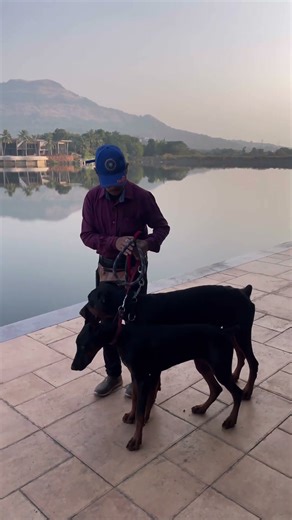 Doberman training 🐶