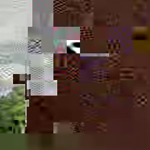 Join Callum, Ezran, and Rayla on their journey to Xadia. The Dragon Prince is coming to Netflix September 14th. #TheDragonPrince | The Dragon Prince