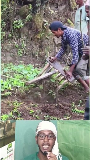 Traditional Wooden Farming Method | কাঠের টুলে জমি চাষ করা হচ্ছে 🌾 #shorts #viralshorts #agriculture