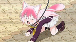 逆天，你们真会玩