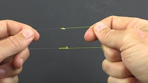 20K views · 179 reactions | It's knot strength test time!! Which one are you betting on?? For more awesome saltwater fishing tips go to https://www.saltstrong.com/fishing-tips/ | Salt Strong | Facebook