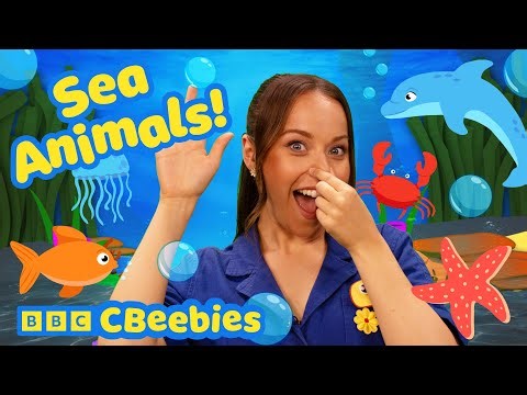 Time to Play Under the Sea Animals 🐬🌊 | CBeebies House Fun with Evie and Friends 🌈✨