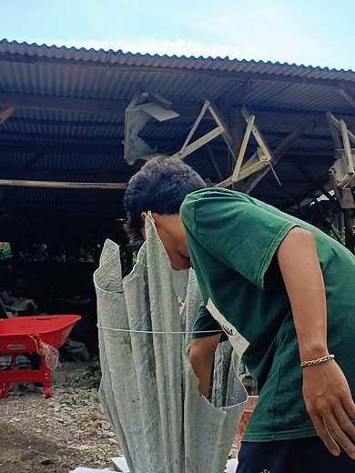 Ubah Handuk Jadi Pot Bunga Cantik