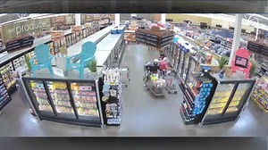 Footage shows brazen purse thieves target elderly shopper in St. George