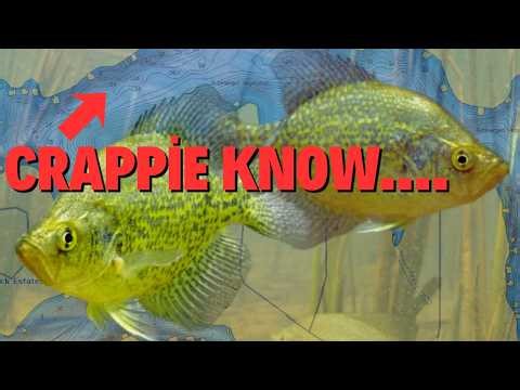 Crappie don't spawn when YOU think - Here's what they're actually waiting for