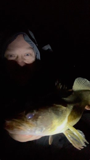 5.4K views · 28 reactions | BIG Fall Walleye Fun! #dwsoutdoors #fallfishing #walleyefishing | DWS Outdoors | Facebook