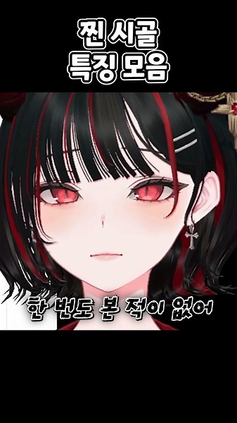 찐 시골 특징 모음