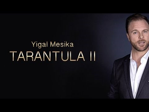 Tarantula II by Yigal Mesika