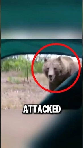 Camping Alone? This Terrifying Forest Encounter Will Make You Think Twice😱