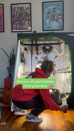 Upgrading Your Indoor Grow Light: A Step-By-Step Guide