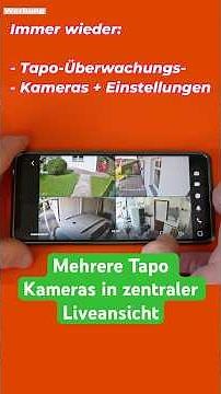 Multiple Tapo cameras in central live view
