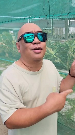 Unli Samgy with free swimming. Cabin overnight stay or Camping #samgyupsal #cabin #camping #swimming #ConcepcionTarlac | M&M Lettuce Farm and Samgy Garden