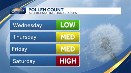 Cool winds spread tree pollen, but some relief ahead