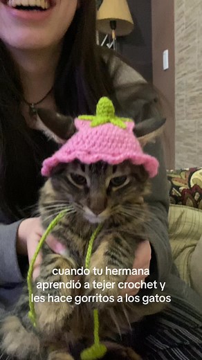 Gorros de Gato en Crochet: Tutorial y Diseños Originales