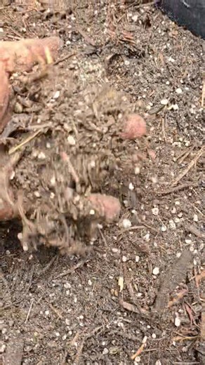 Become a Soil Chef....mineral or organic based? Particle size? Porosity ?Drainage? Media Aeration? These are all things you got a think about when you're mixing soil together for potting up different plants. It'll be a different list of ingredients based on where you are and what's locally available. GET INTO IT. BECOME A SOIL CHEF. | Crime Pays But Botany Doesn't