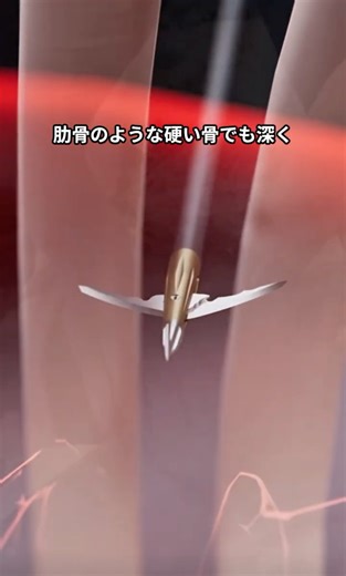 法律で禁止された“死の矢”がヤバすぎる。