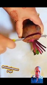 😲😲 how to grow beetroot at home without spending much #facebookviralvideo2025fypシviral #facebookreel #obianujureacts | Obianuju peace page