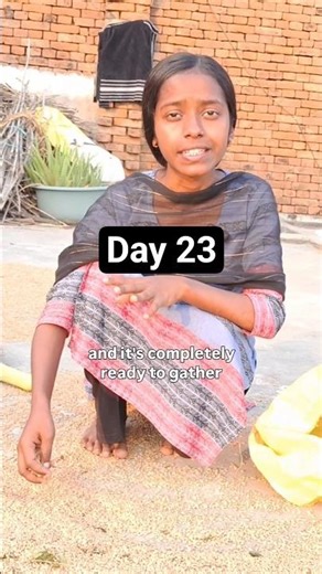 [Day 23/200] Winnowing wheat #english #education #viral #trending