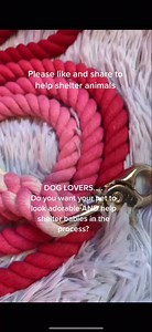 Please Like and Share to help shelter animals! Petponiacom code adopt10 for 10% off #Petponia #dog #adopt #shelter #rescue | Judith Coleman | Facebook