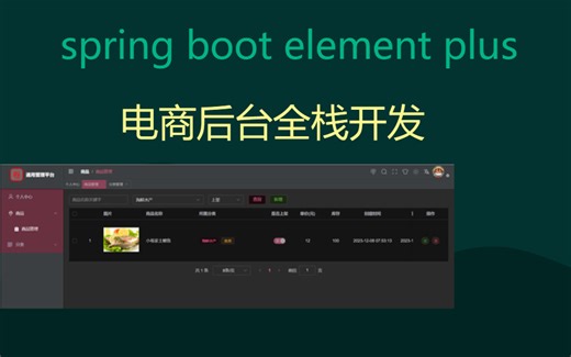 spring boot element plus电商后台全栈开发