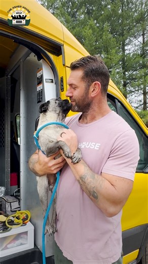 What a day!! Seniors, pugs, mini huskies, Unique, a bonded pittie pair and so much more on this beautiful rescue day ❤️ | The Asher House