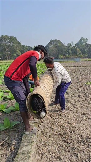 Didn't even understand the heavy object.