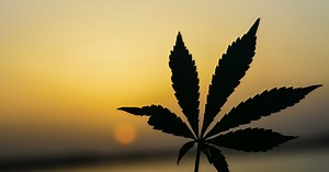 Weed is now legal in Thailand: Here’s what you need to know
