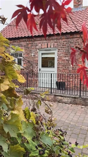 11 reactions | The romantic cosy Irishman’s Cottage here at the Dovecote Barns. A perfect quiet and peaceful retreat for two near York, North Yorkshire. | The Dovecote Barns York - Luxury Eco Barn Self-Catering Accommodation | Facebook