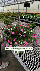 1.5M views · 3.1K reactions | People always ask us how we maintain...