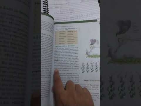 Principle of inheritance and variation part 1 explanation