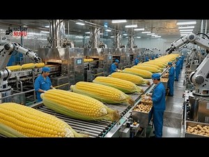 Inside the Factory NUNU: World’s Most Advanced Popcorn Factory (Full Process)