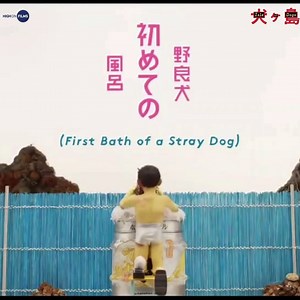 1.8K views · 60 reactions | The 10 Best Dog Movies of all Times -...