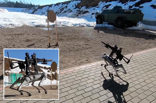 Robot dog equipped with submachine gun is 'dystopian' nightmare fodder